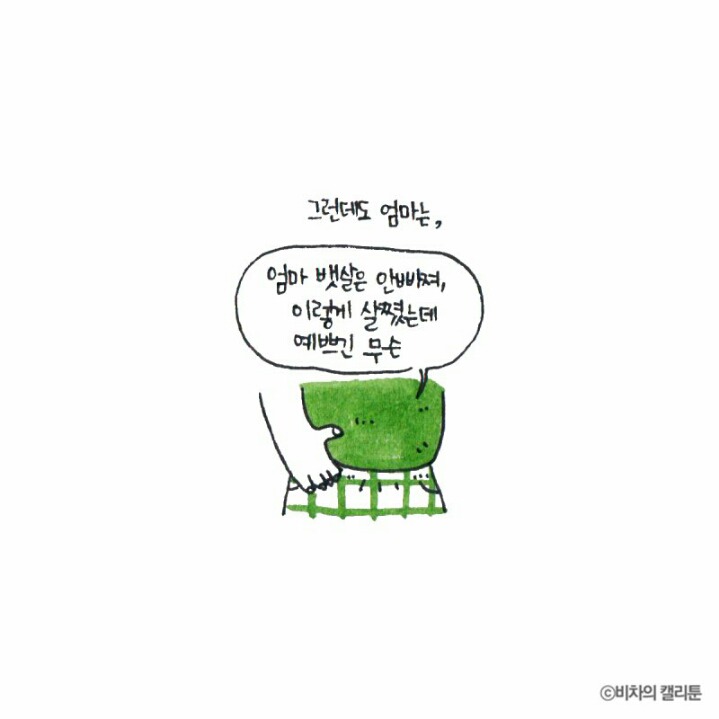 [비차의캘리툰] 프리사이즈가 아니잖아 | 인스티즈