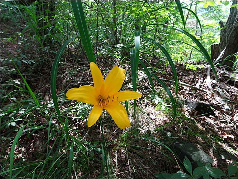 주변 조망 이미지