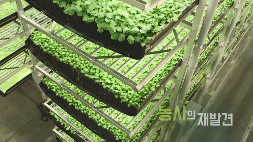  농사짓는데 이미 인공지능을 적극적으로 사용하기 시작한 미국 | 인스티즈