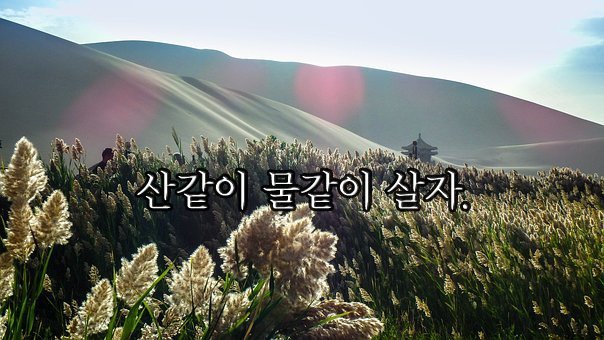 참사랑떡방앗간 이미지