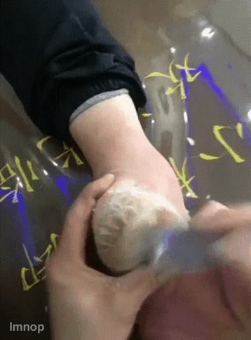 대륙의 각질 제거.gif | 인스티즈