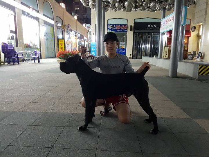 마몬 이미지