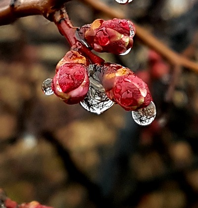 99D302435C974B892EAAA5