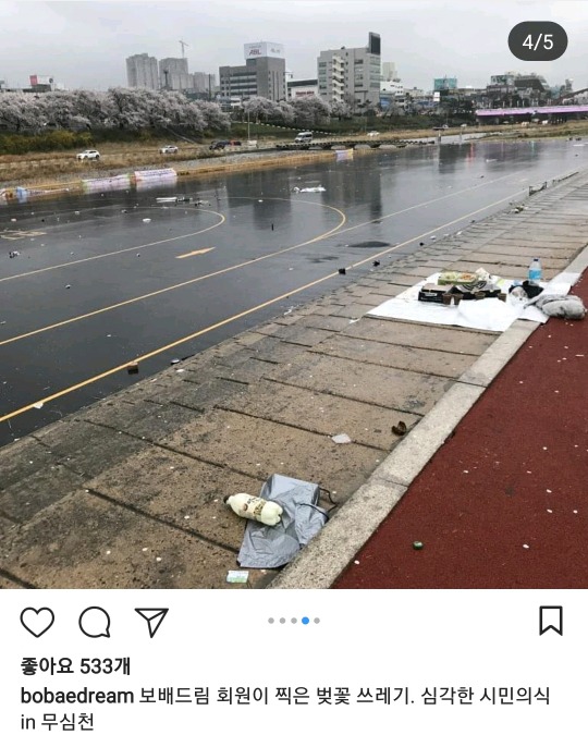 벚꽃축제 시민의식 근황.jpg | 인스티즈