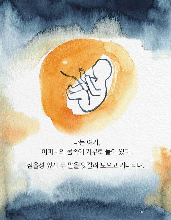 어머니에게 애인이 생겼다.jpg | 인스티즈