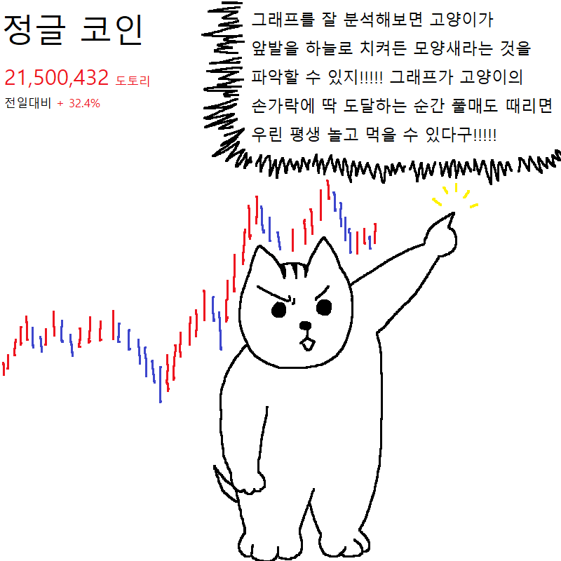 가상화폐 투자했다가 강제 존버하는 너구리 | 인스티즈