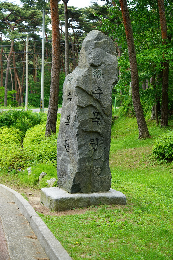 안면도수목원 이미지
