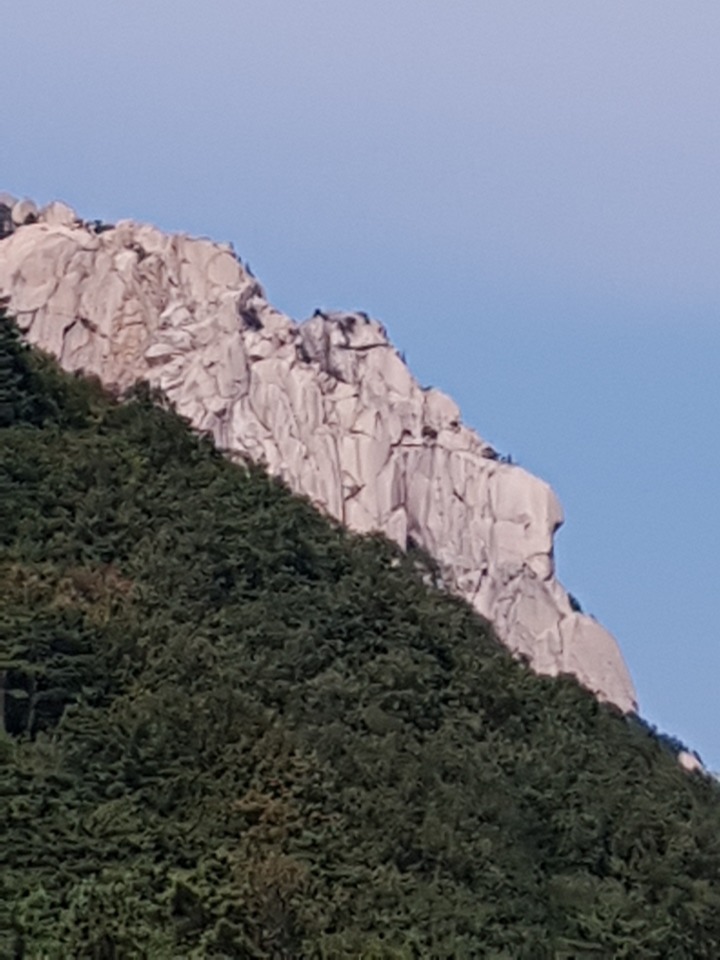 신흥사 이미지