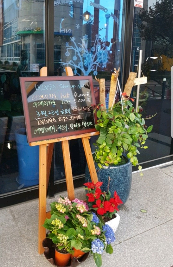 비비다방 이미지