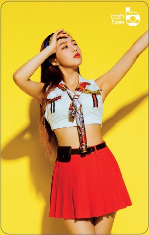 레드벨벳 교통카드 | 인스티즈