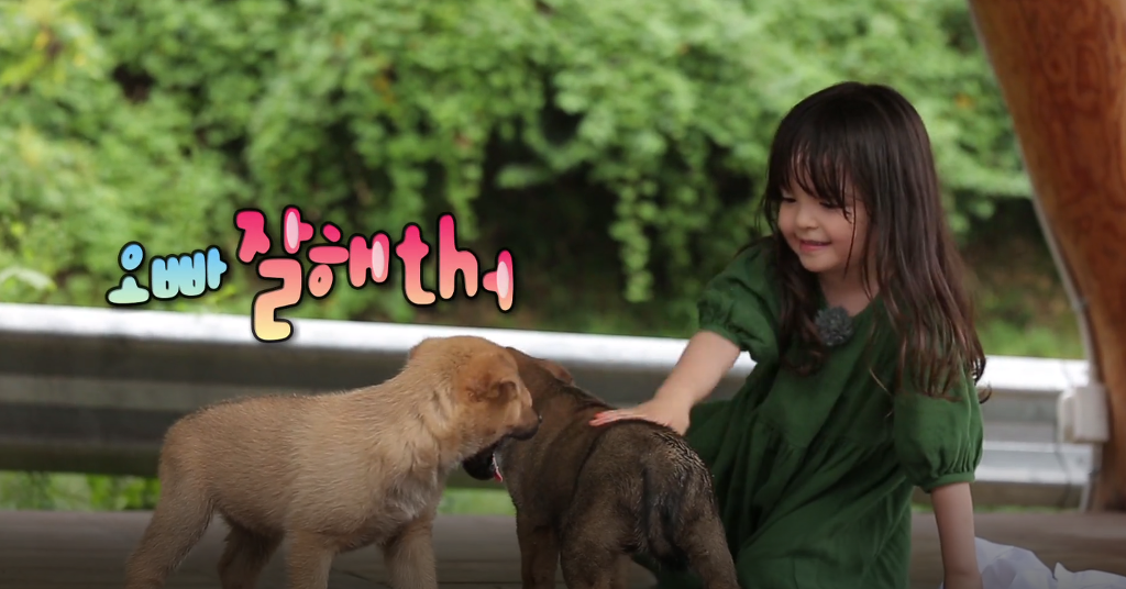 올만에 연애물로 장르바꾸고 출연하는 시안이(와 나은이).jpg | 인스티즈