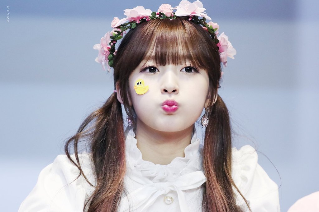 오마이걸 최아린 생일기념 짤털 | 인스티즈