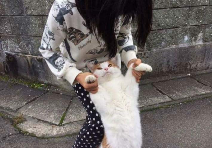 검거된 가출고양이 | 인스티즈
