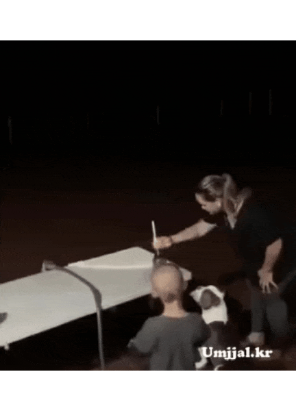 불꽃놀이를 처음본 댕댕이.gif | 인스티즈