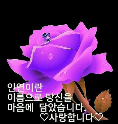 김서방 이미지