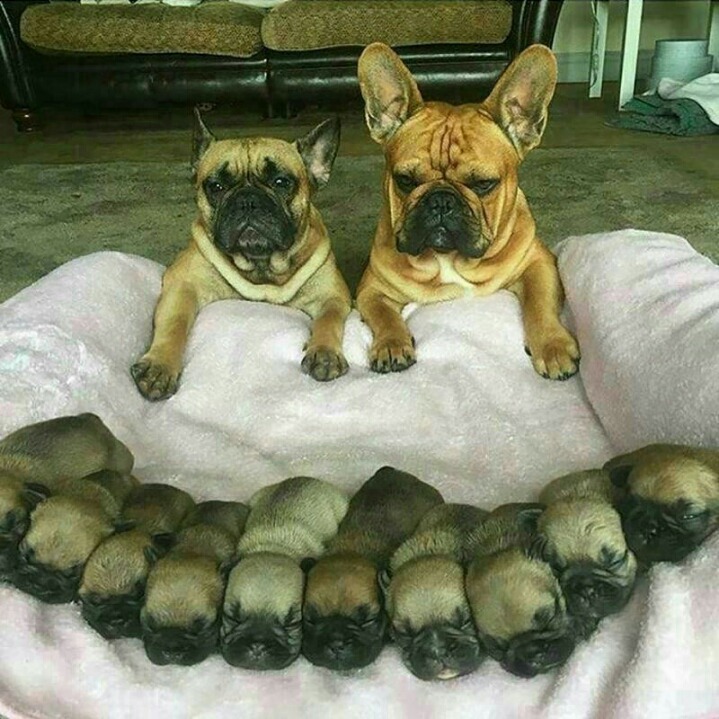 힘줄 이미지