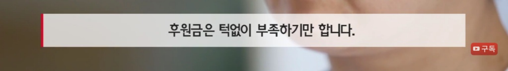 마산 애니멀 호더에게서 구조한 50여마리의 고양이들에게 손길을 내밀어주세요! 곧 쉼터가 폐쇄되어 아이들이 갈 곳이 없습니다 | 인스티즈