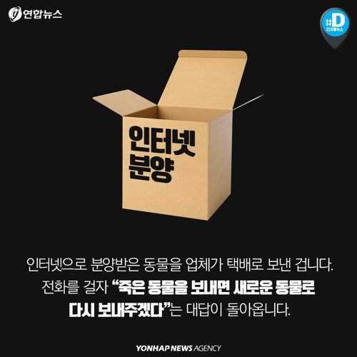 택배 상자 안에서 죽어가는 반려동물들 | 인스티즈