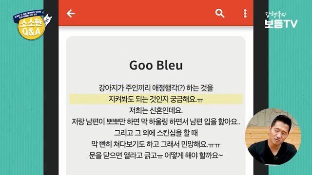 애정행각하려는데 개가 쳐다봐요 | 인스티즈