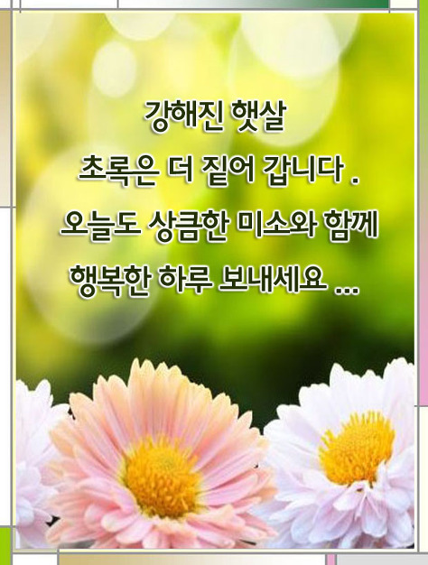 오늘도예쁜하루 이미지