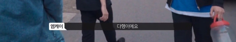 망원동 고양이 밥을 책임지고 있는 아이돌 | 인스티즈
