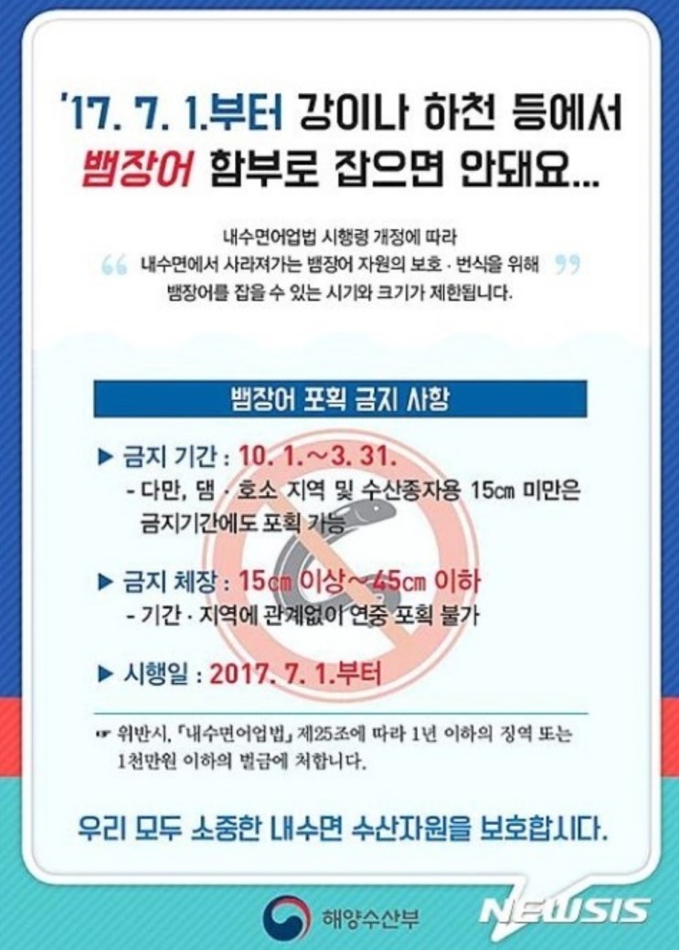 향어시대 이미지