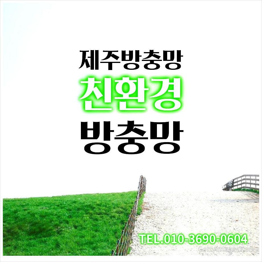 납읍초등학교 이미지