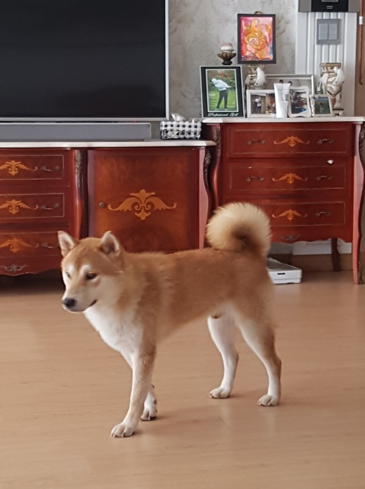 은애 이미지