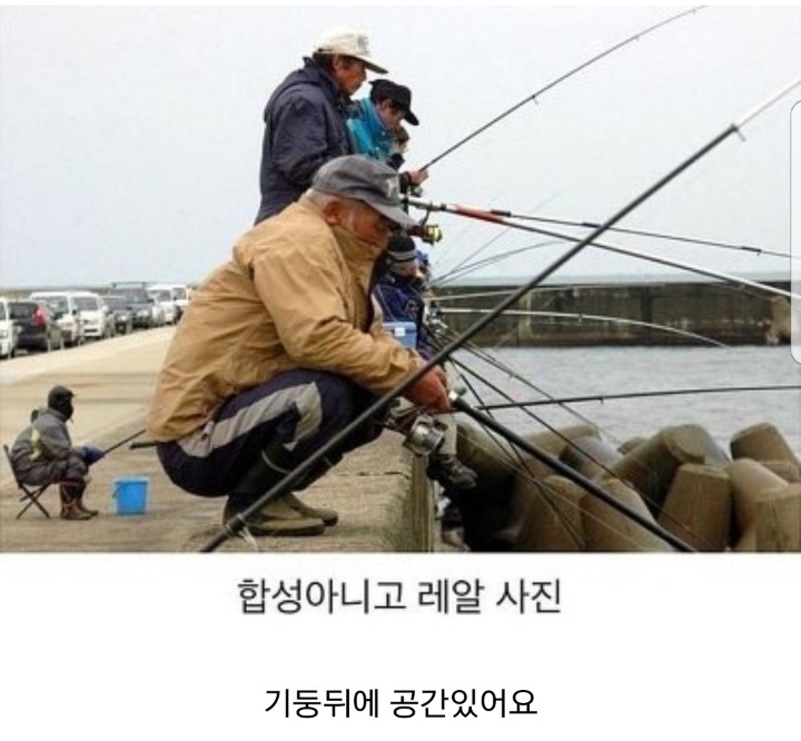 합성 아니라고 판명난 사진 | 인스티즈