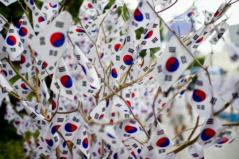 8월 15일 광복절기념 뿌리는 태극기 사진 | 인스티즈