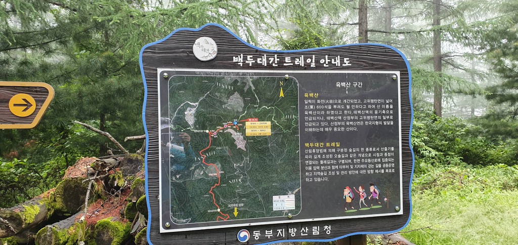 강원육백산 이미지