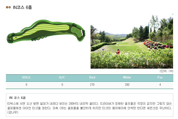 라비돌 이미지