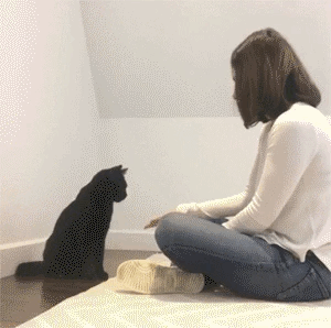 ??? : 우리가 이걸 못해서 안하는게 아니다옹 | 인스티즈