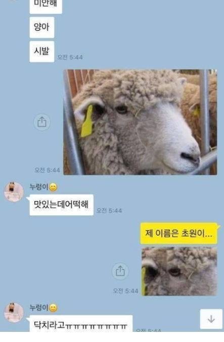 ??: 제 이름은 초원이에요! | 인스티즈